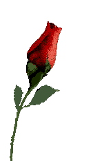 10.gif