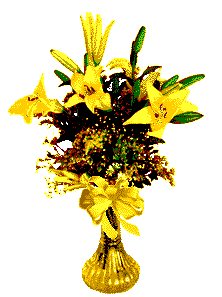 11.gif
