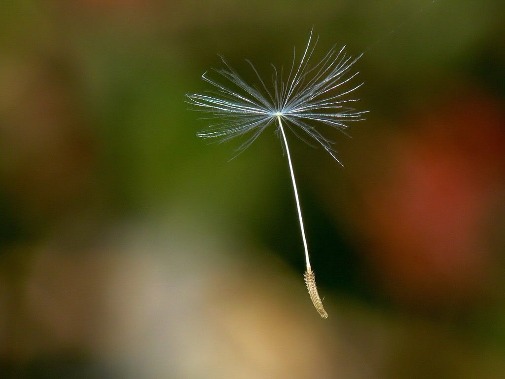 118.jpg