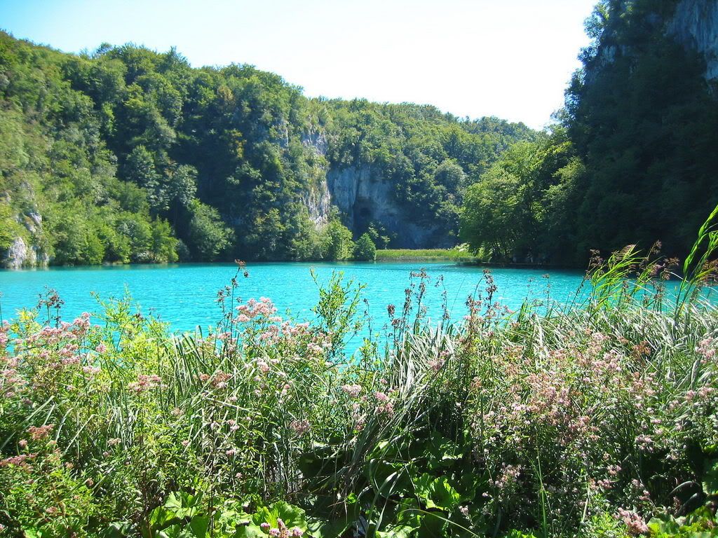 129.jpg