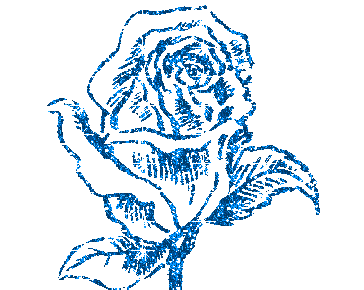 31.gif
