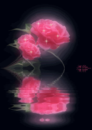 9.gif