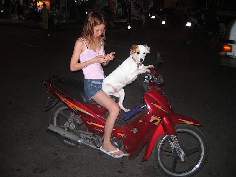Dogs_20.jpg