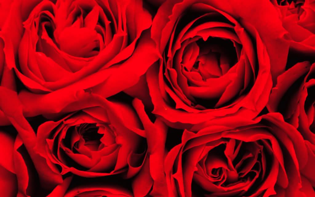 LOVE_SP_1001.jpg