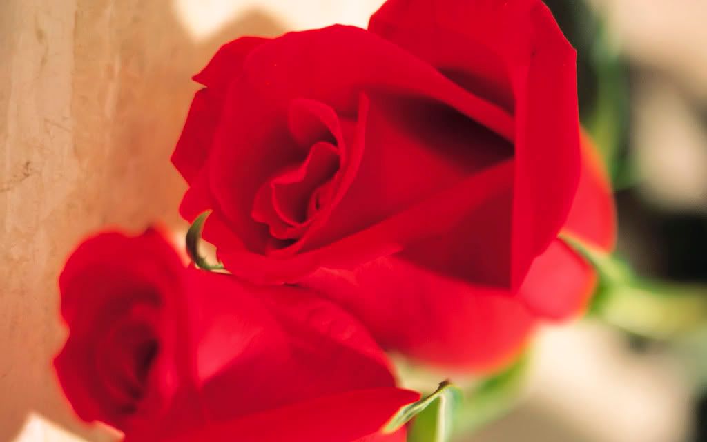 LOVE_SP_1002.jpg