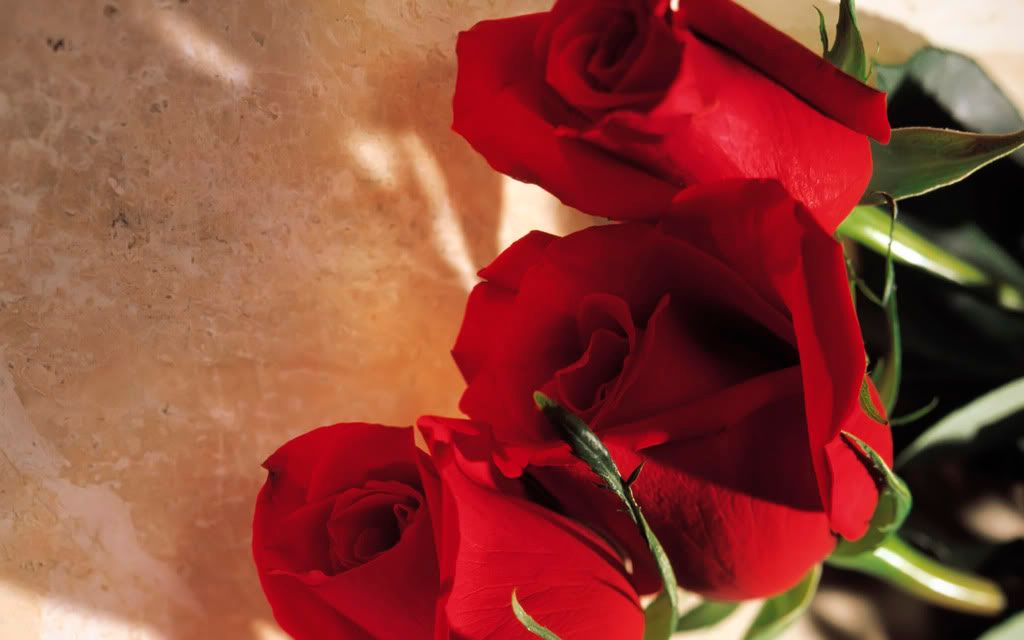 LOVE_SP_1017.jpg