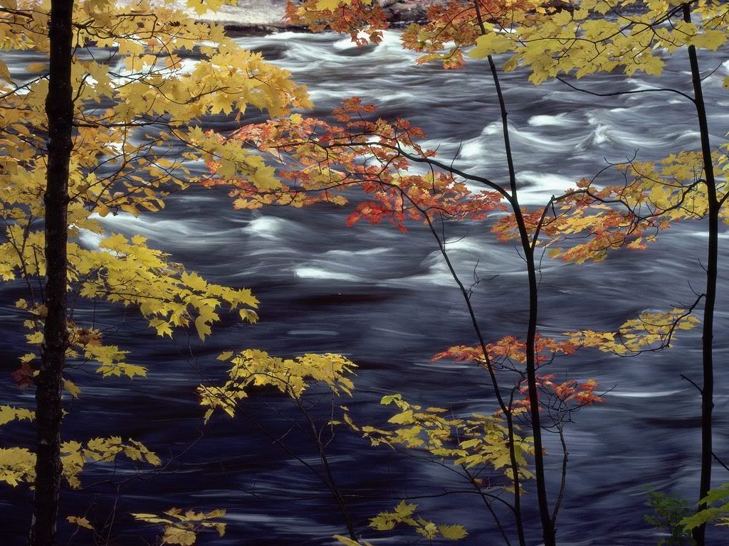 AutumnColorsaRushingRiver.jpg
