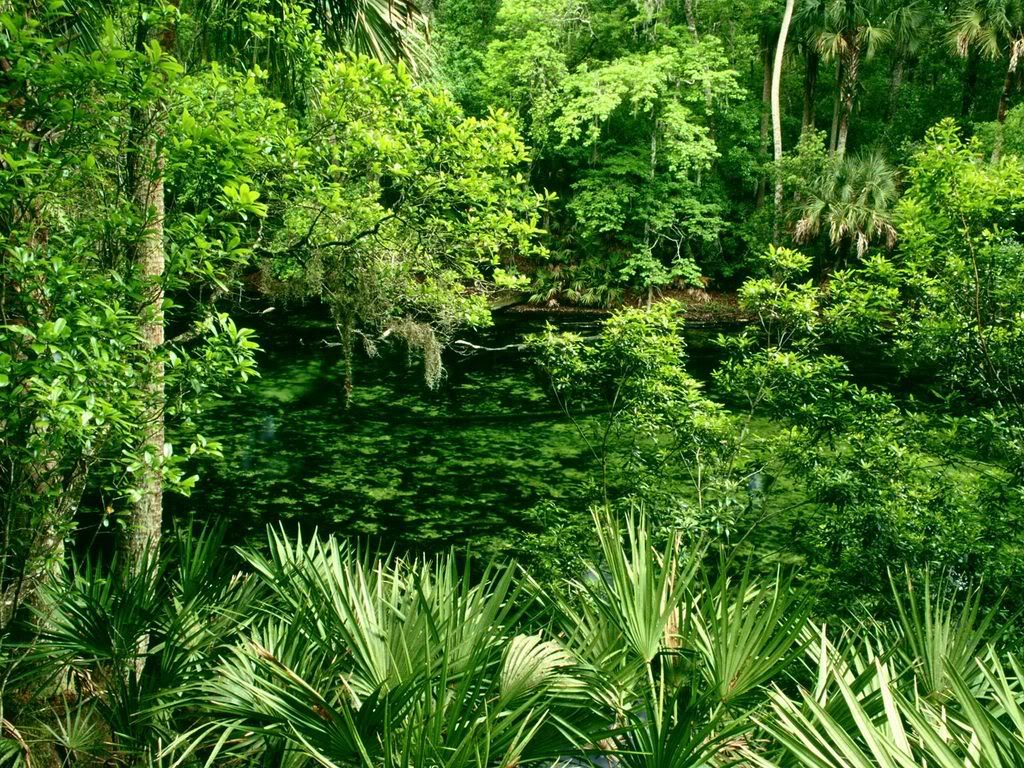 BlueSpringStateParkFlorida.jpg