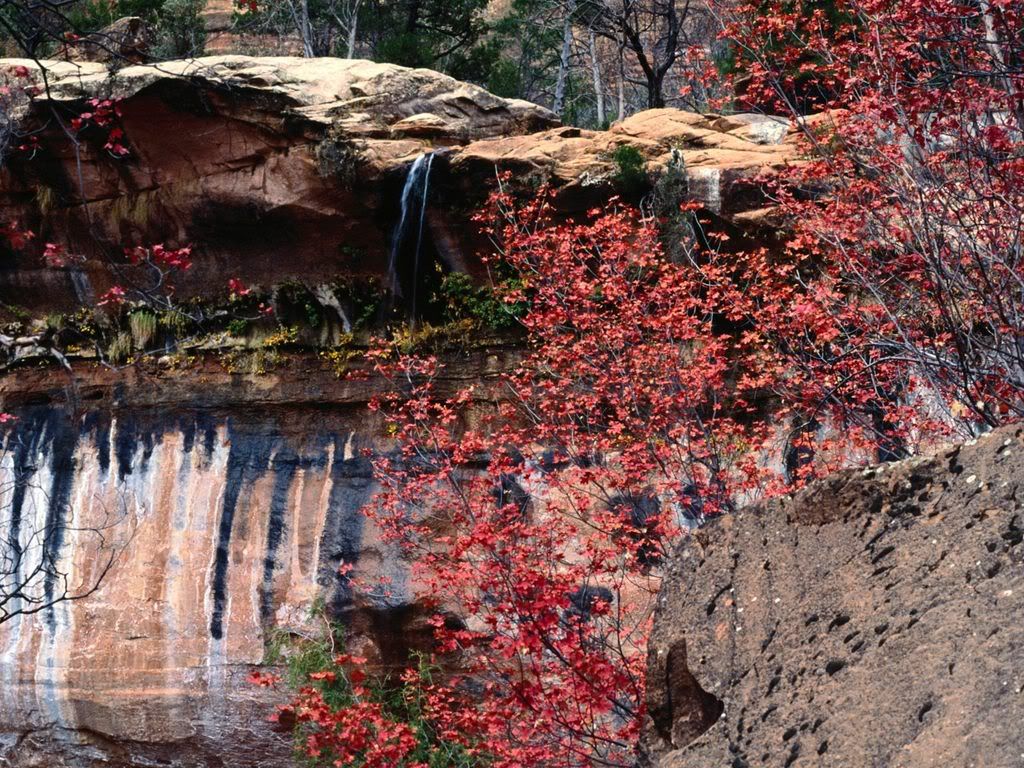 CalicoEmeraldPools.jpg