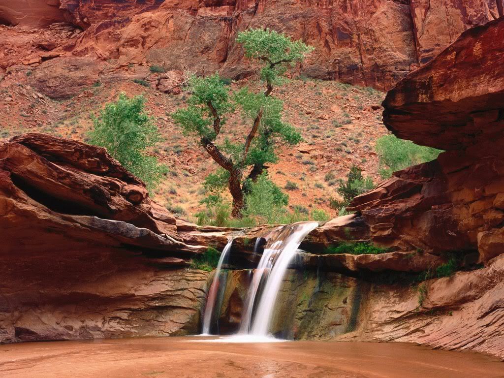 CoyoteGulchEscalanteRiverCanyonsUta.jpg