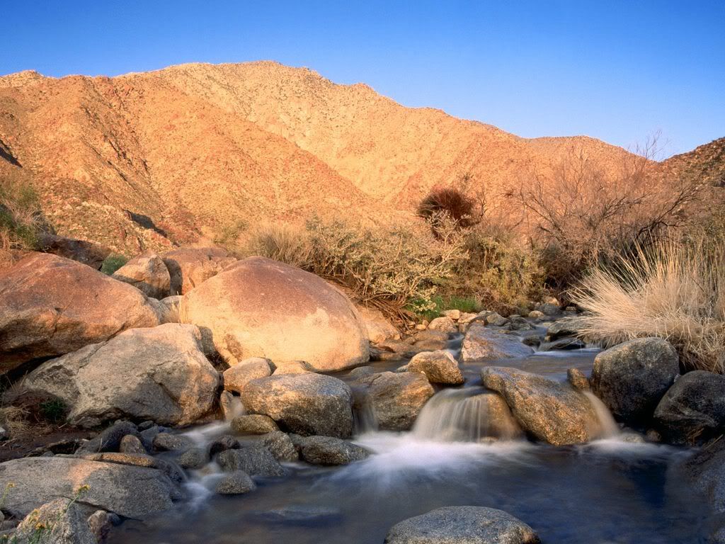 PalmCanyonCreekBorregoPalmCanyonSan.jpg