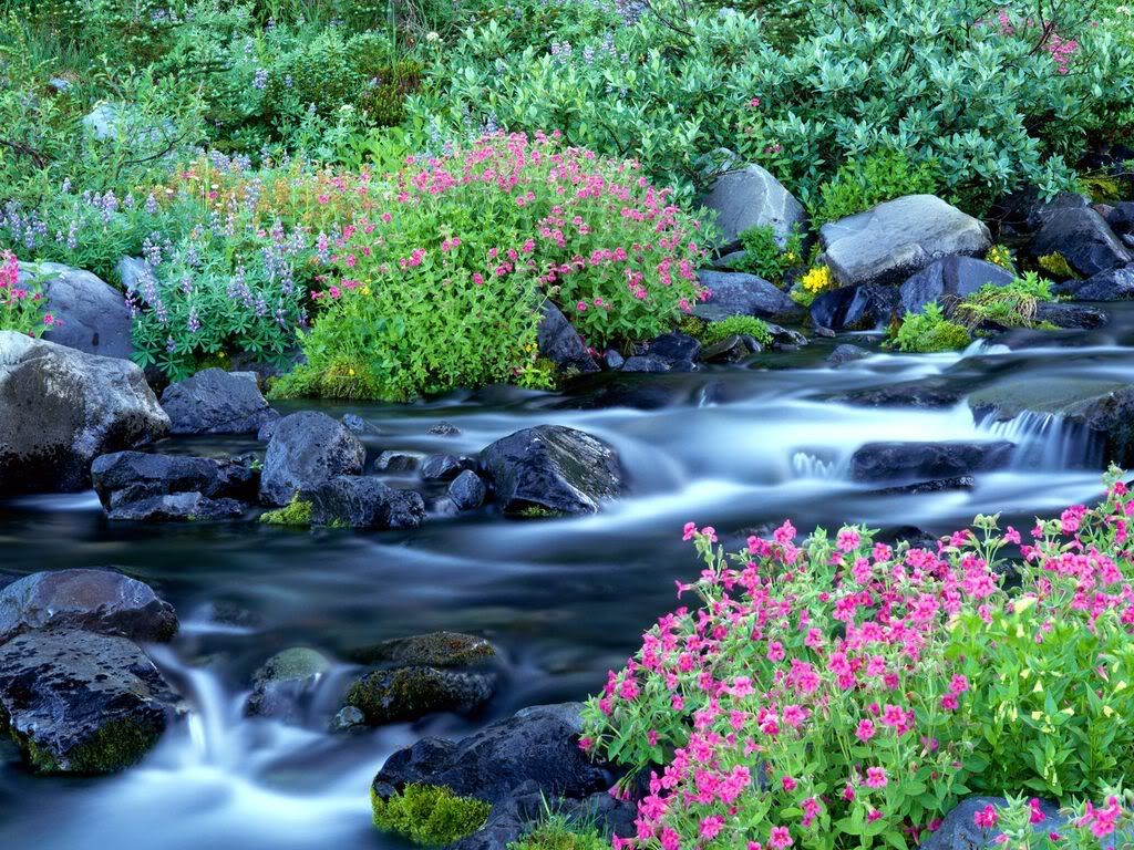 ParadiseRiverMountRainierNationalPa.jpg