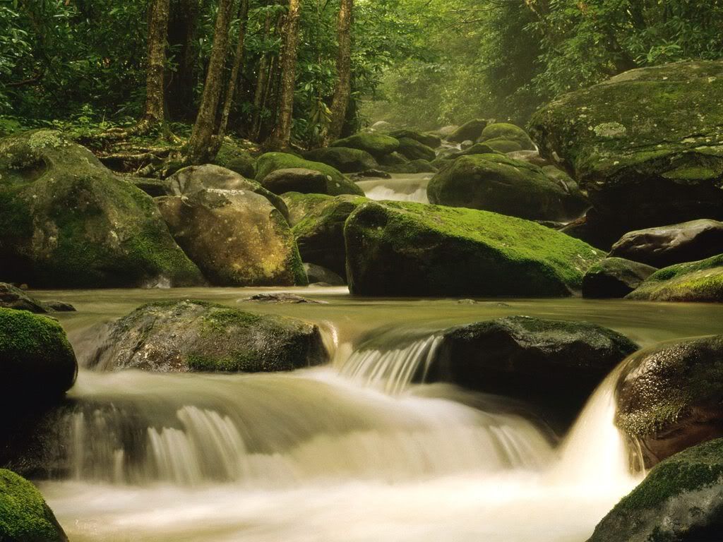 RoaringForkRiverGreatSmokyMountains.jpg