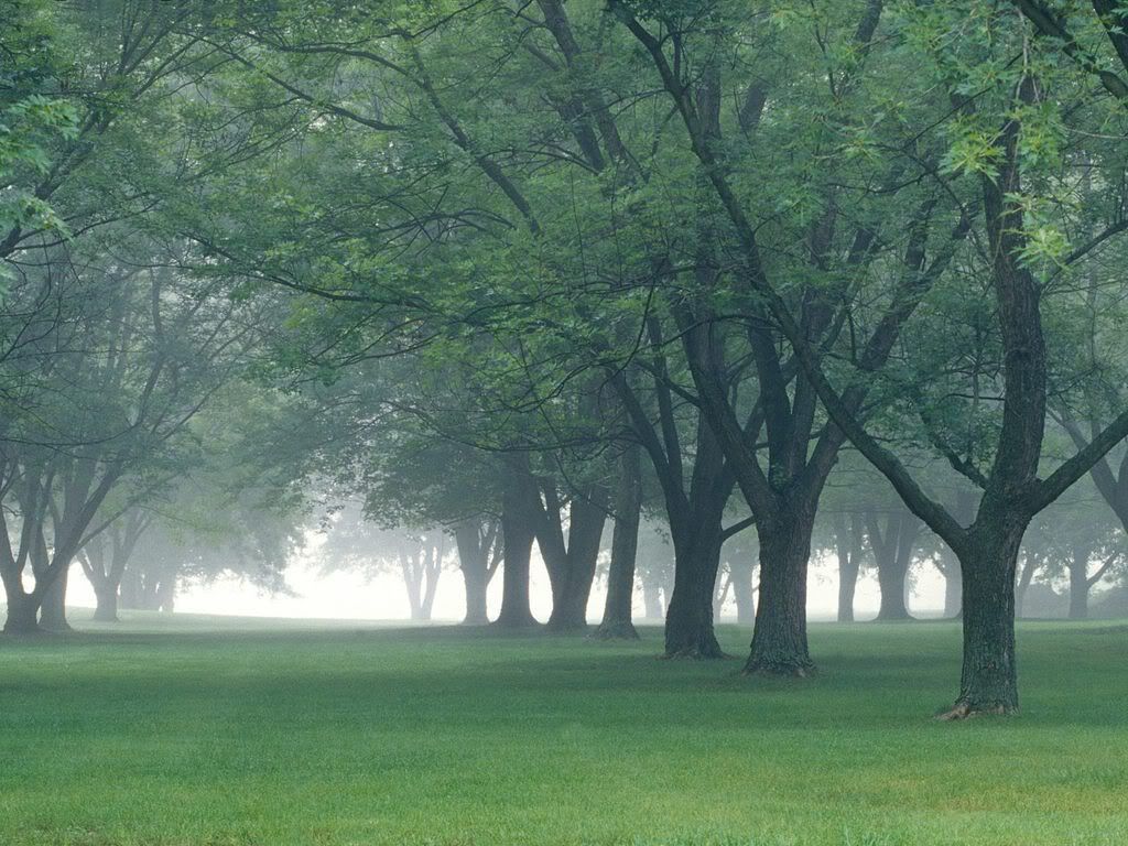 EarlyMorningMistCentralIndiana-1600.jpg