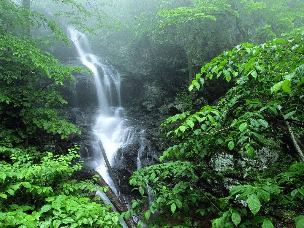 LowerDoylesRiverFallsShenandoahNati.jpg