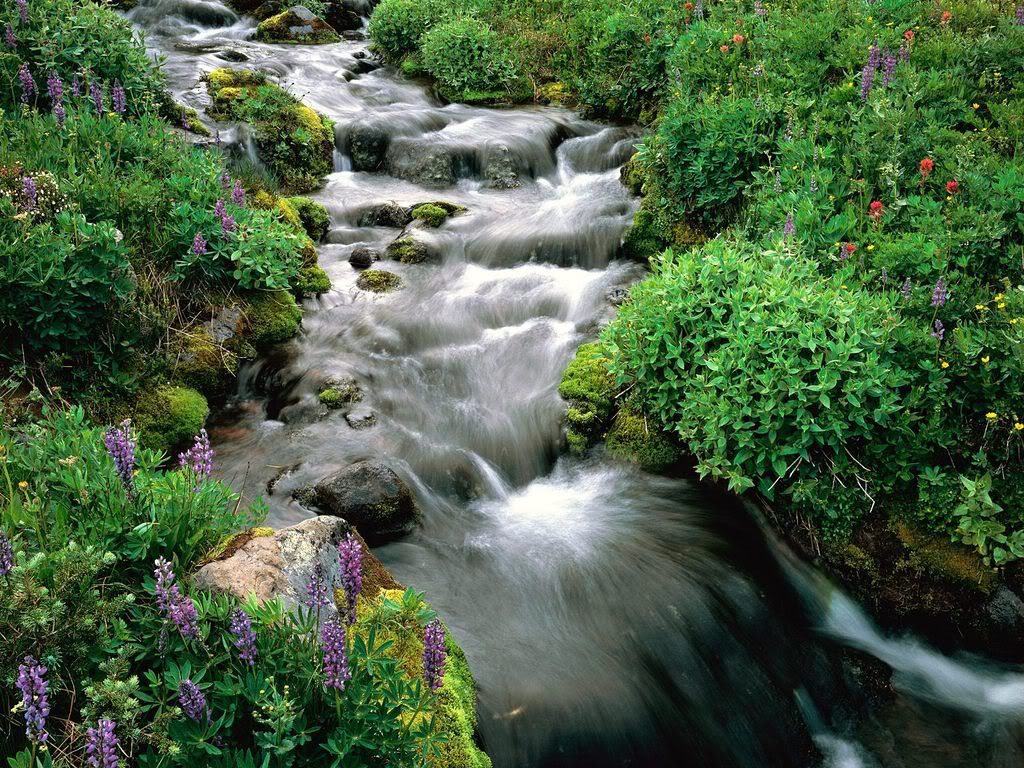 MountAdamsYakimaIndianReservationWa.jpg