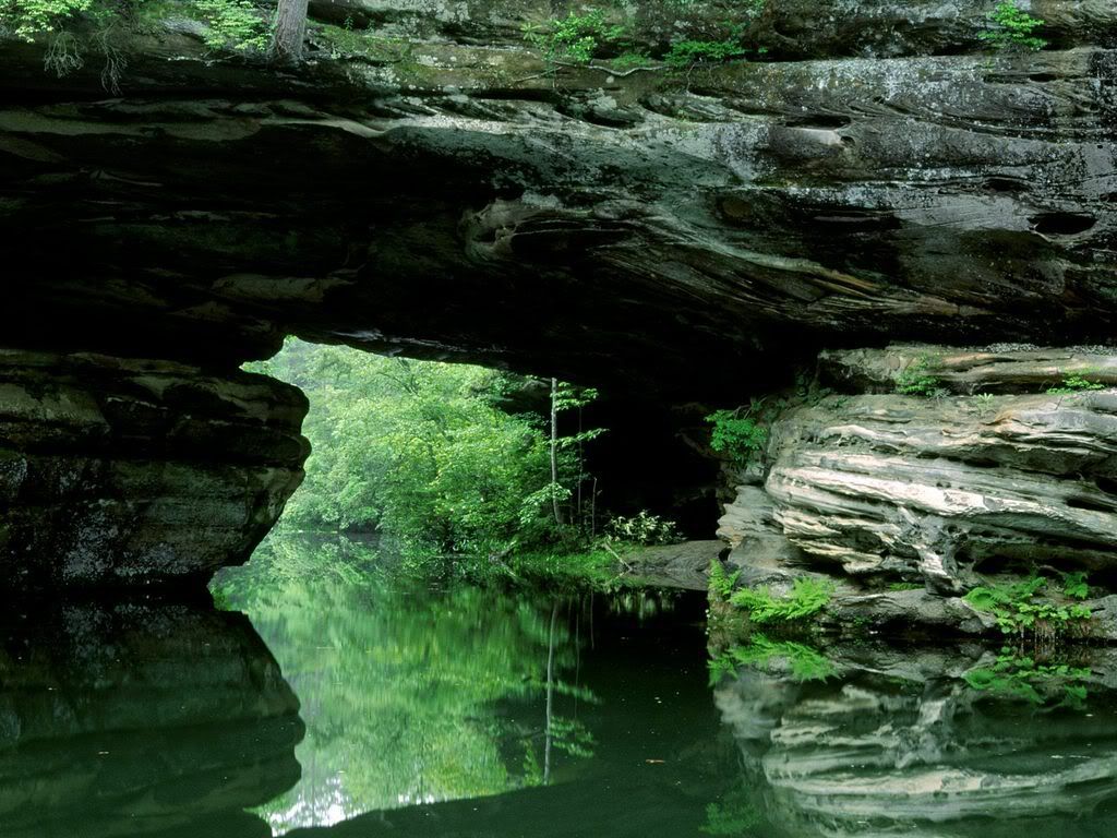 NaturalBridgePickettStateParkTennes.jpg