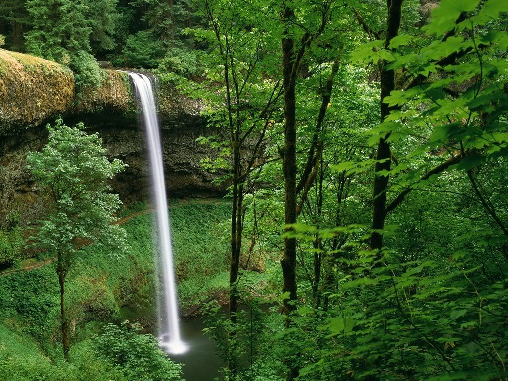 SilverFallsStateParkOregon.jpg