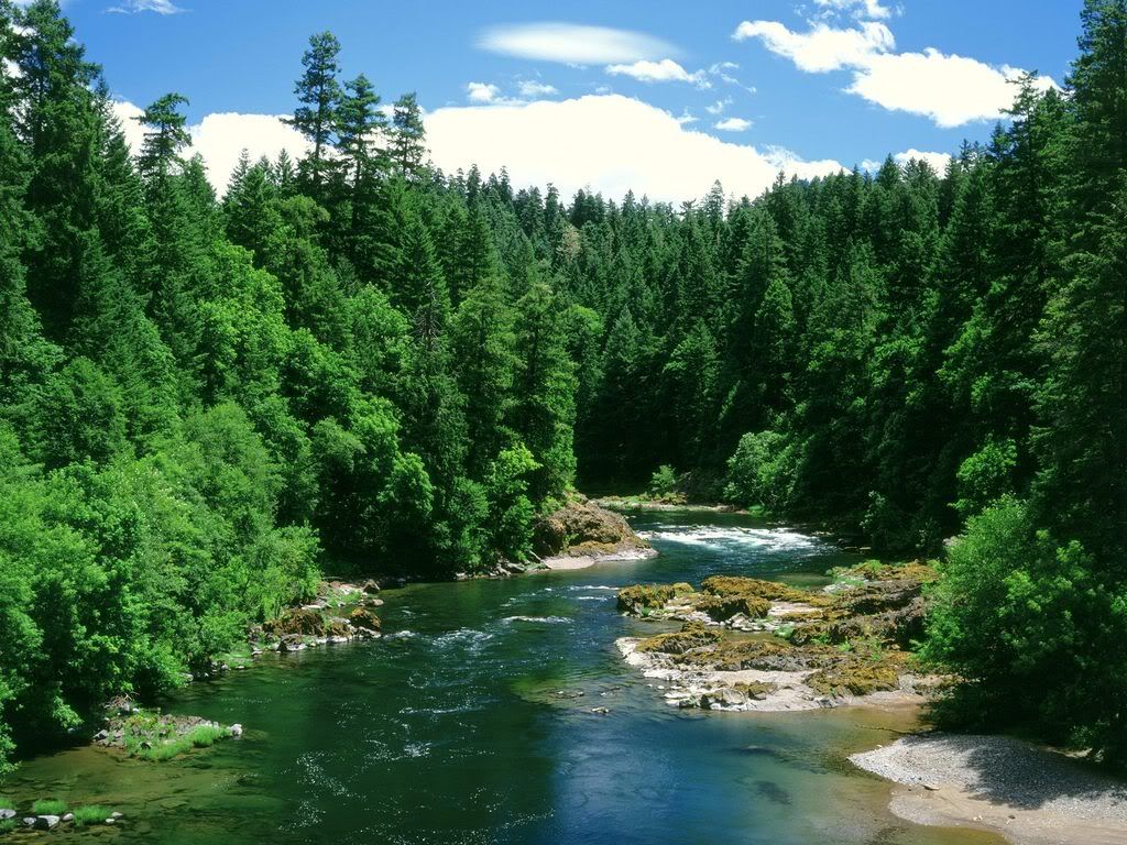 UmpquaRiverDouglasCountyOregon-1600.jpg