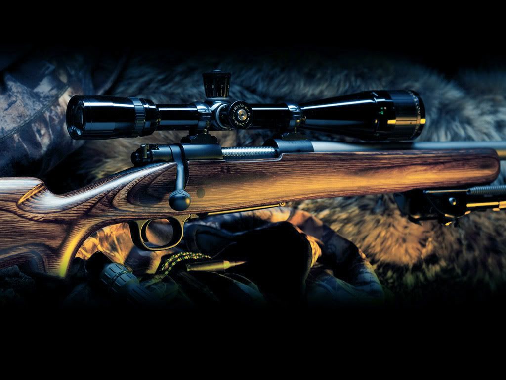 arms011.jpg