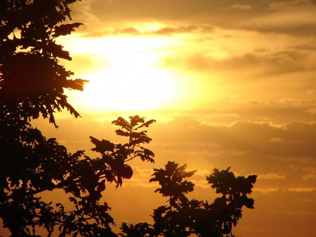 ws_Golden_Sky_1600x1200.jpg