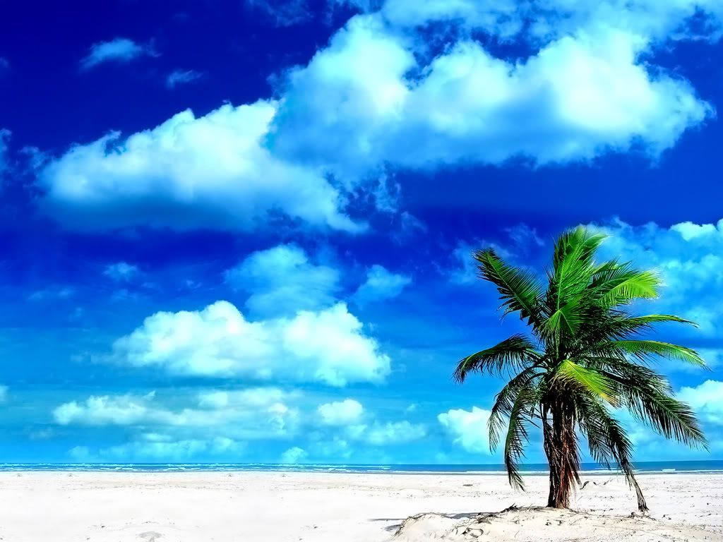 ws_Holiday_Beach_1600x1200.jpg