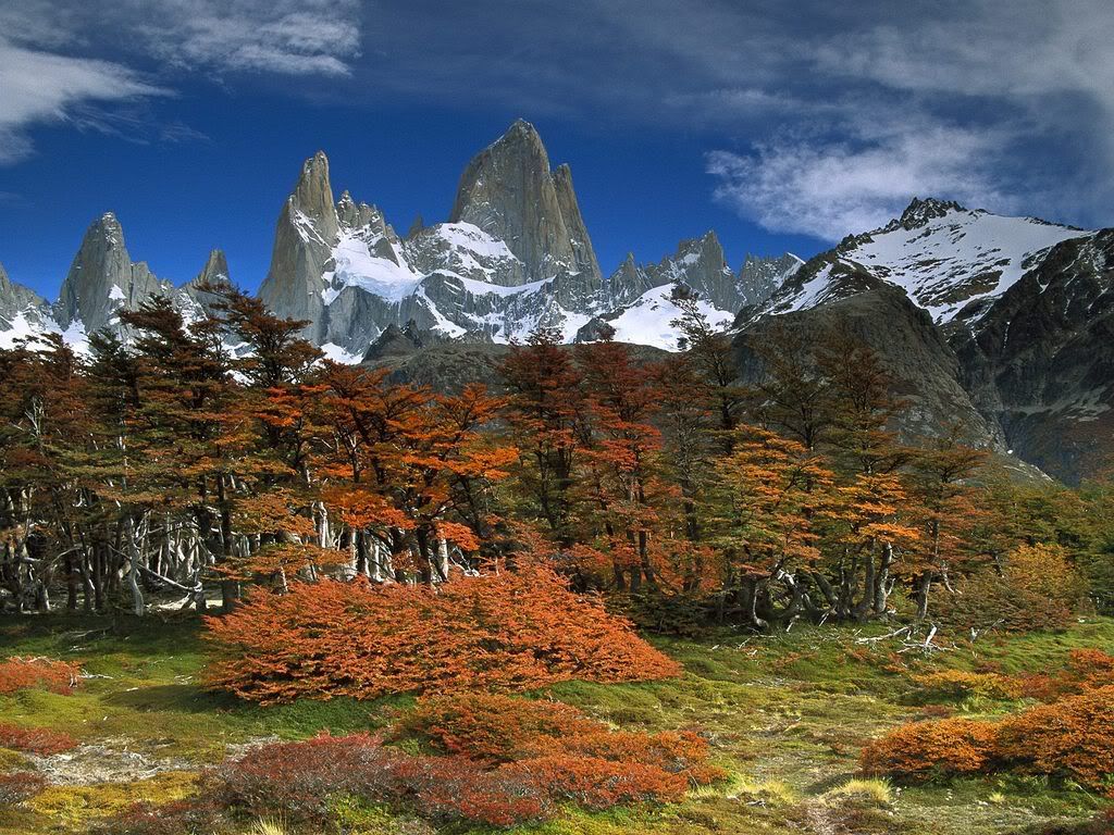ws_Los_Glaciares_1600x1200.jpg