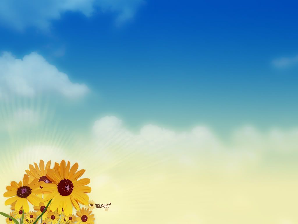 ws_Sun_Flower_1600x1200.jpg