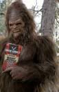 sasquatch Pictures, Images and Photos