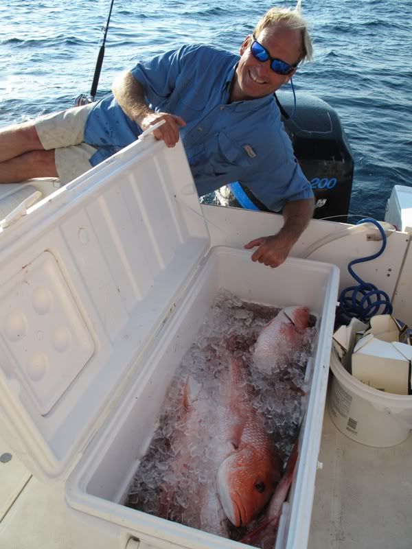 Snappers From Pcola To D I Pensacola Fishing Forum