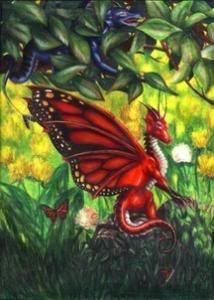 Pixie Dragon Pictures, Images and Photos