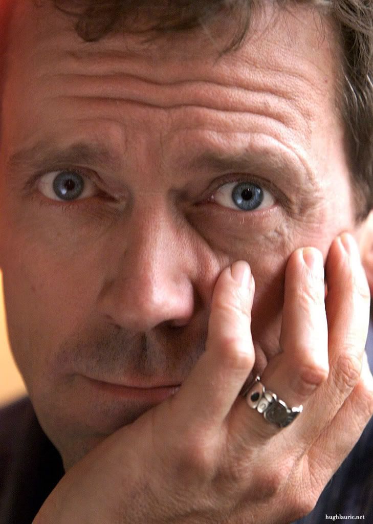 hughlaurie797.jpg