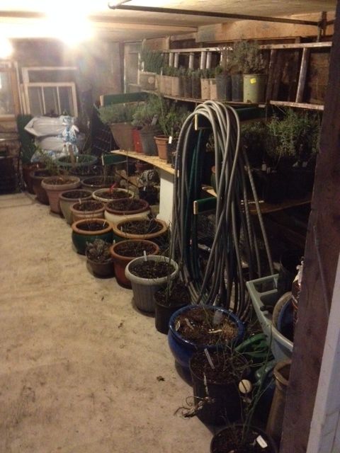 Cold Room photo ColdRoom_zpsce373129.jpg