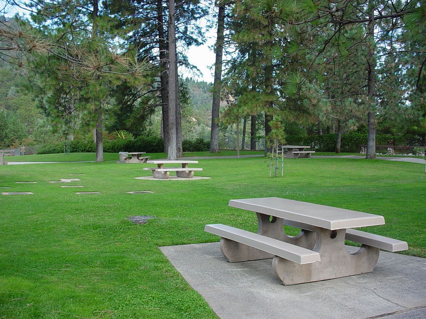 eaf9.jpg a great place for a picnic, we were about 100 miles north of Redding at this rest stop in the mountains. image by rubadubematt