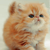 75b175f6.gif