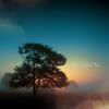WP_foggy_morning_by_MOSREDN.jpg