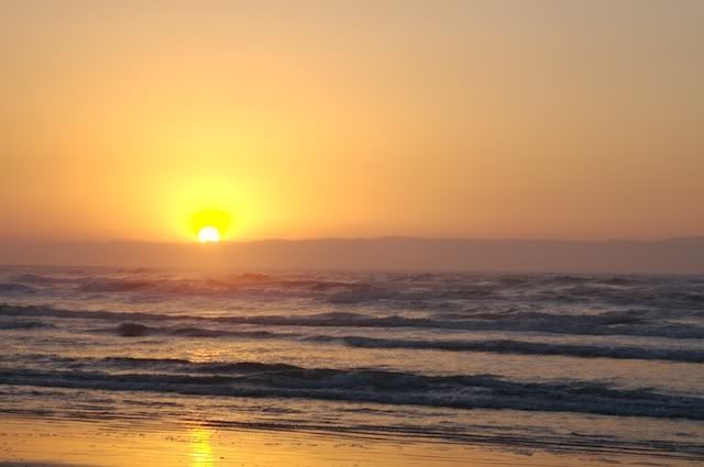 IMAGE: http://i197.photobucket.com/albums/aa193/mommy2_2monkeys/IMG_3890.jpg