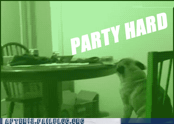 party-hard-dog-pug-when-owner-leaves-funny-animated-gif.gif