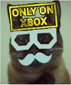 Catz.jpg~original