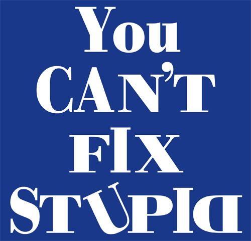 CANTFIXSTUPIDlarge.jpg~original
