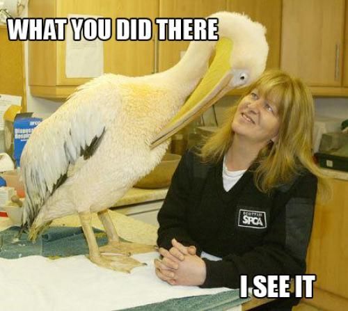 what-you-did-there-i-see-itthumbnail.jpg~original