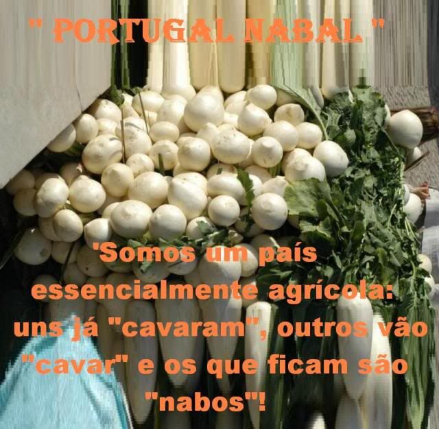 '' NABOS E PORTUGAL '' photo Portugalitonabo.jpg