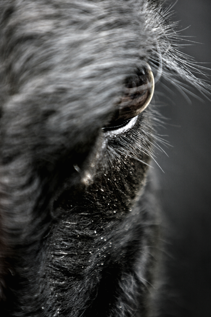 IMAGE: http://i197.photobucket.com/albums/aa204/Rolltide2588/IMG_0102.png