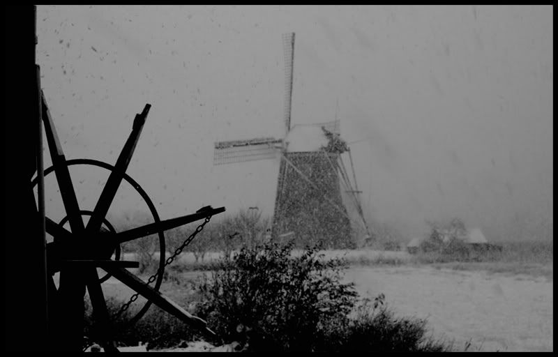 Fotografie