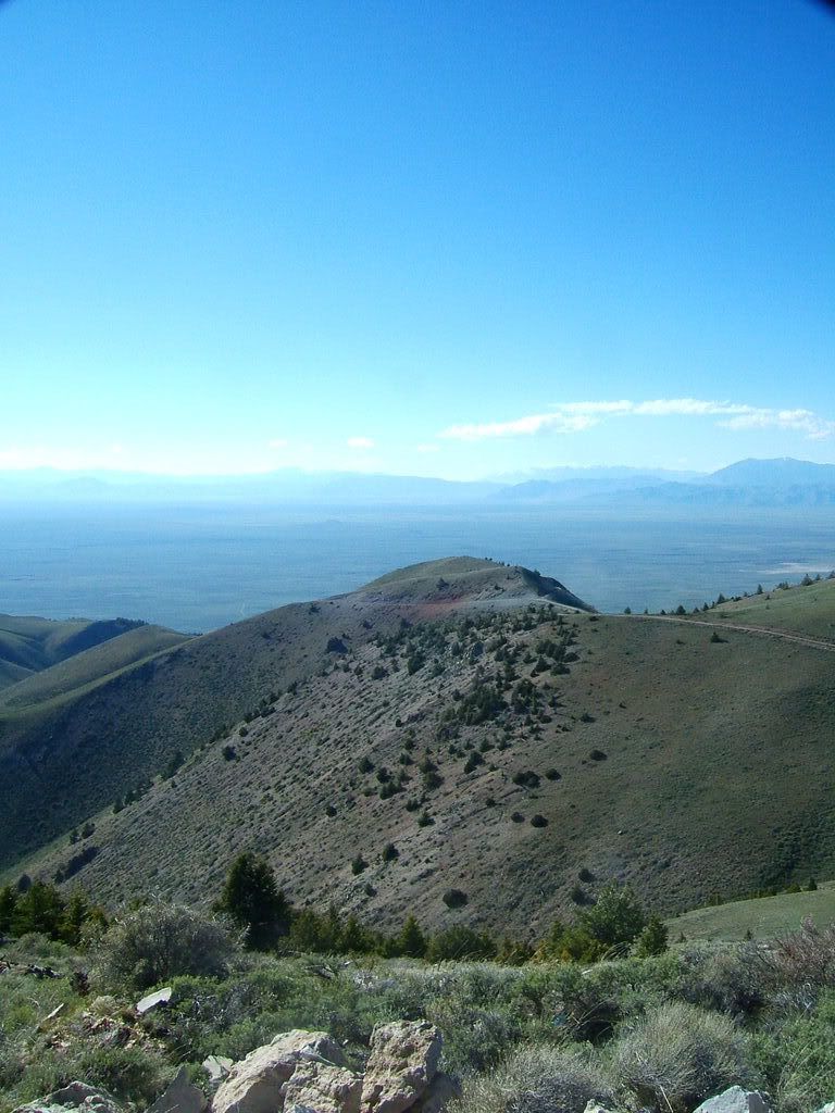 DSCF4593.jpg