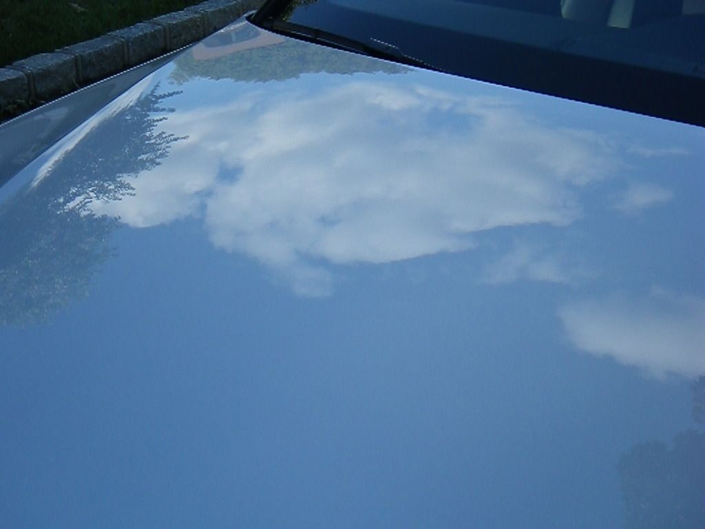 photo10.jpg