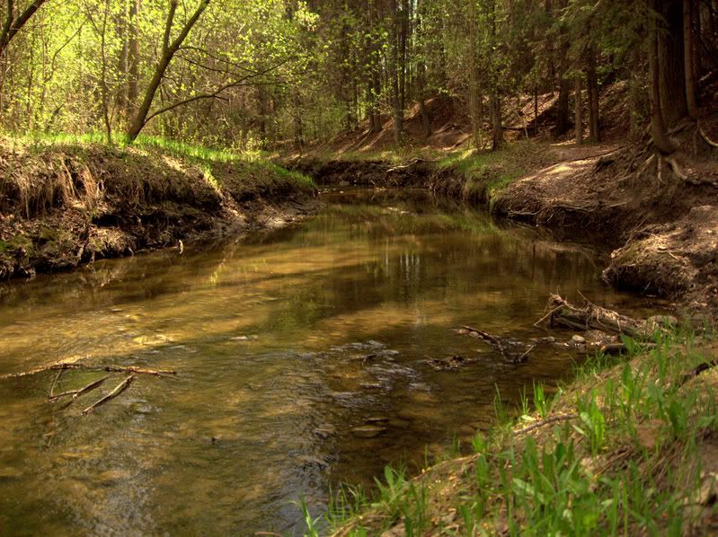 IMAGE: http://i197.photobucket.com/albums/aa225/abuseddog/river1.jpg