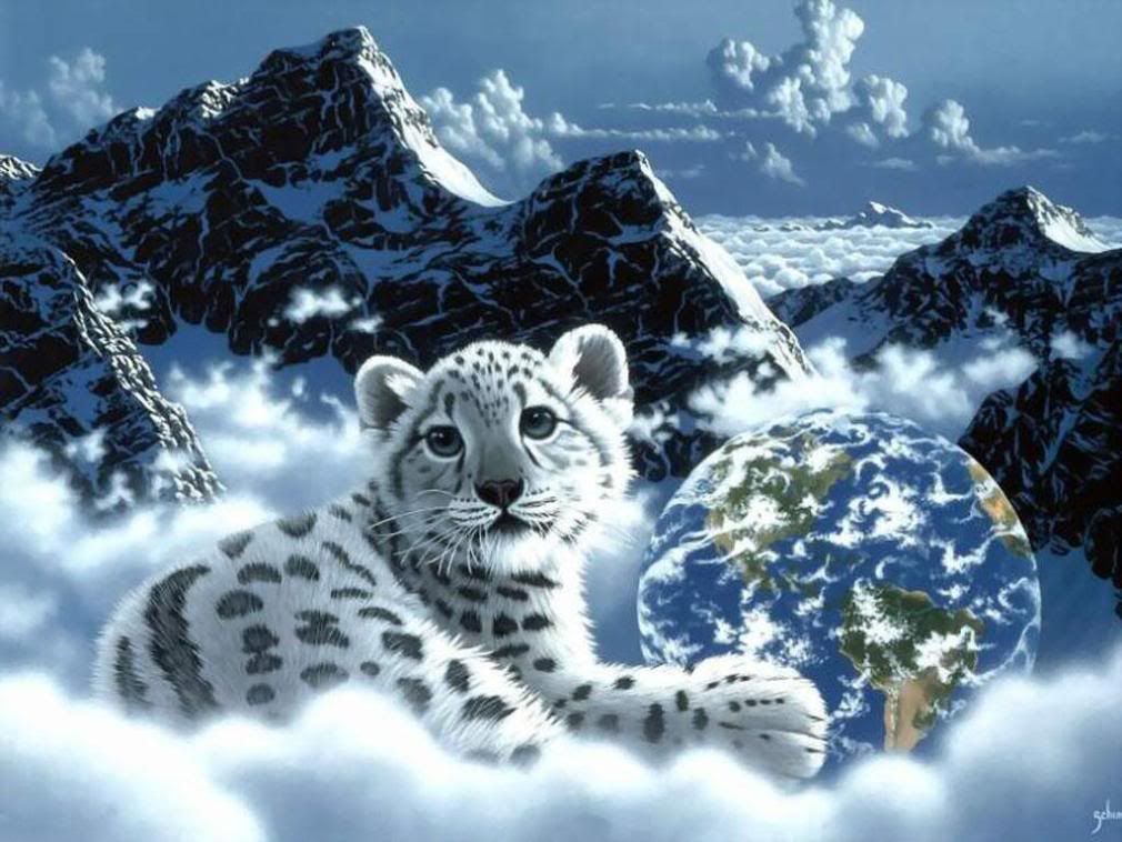 Fantasy-Animal-19.jpg Wall *White Cub* image by Grave_Digger_Dutch