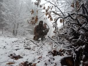 corzos-nieve