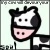 cow.jpg